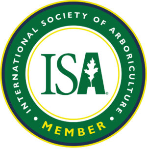 ISA Member Logo