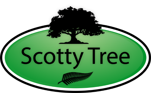 Scotty Tree - Tree Care Services